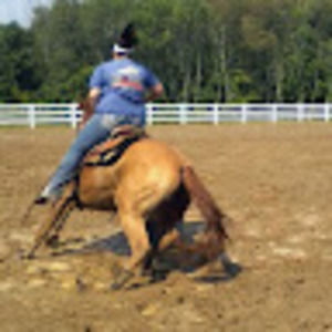 Meet your Posher, Haley